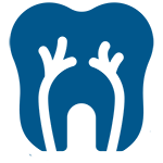 Services laverton dentnal root canals